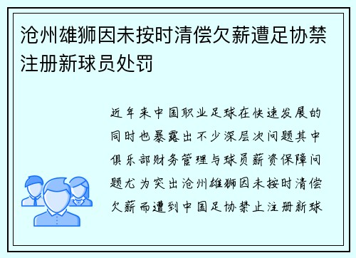 沧州雄狮因未按时清偿欠薪遭足协禁注册新球员处罚