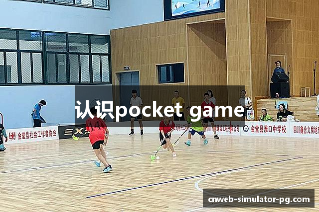 认识pocket game
